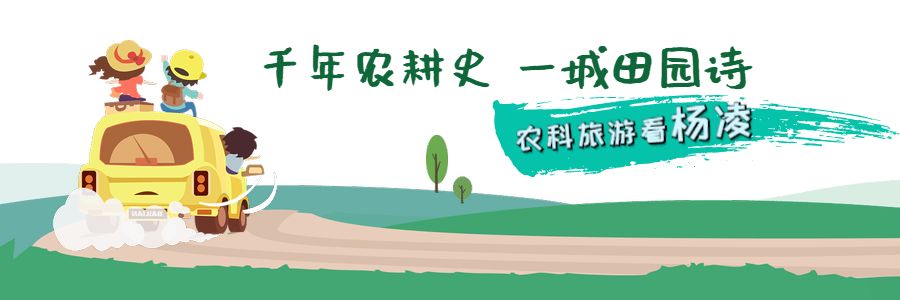 2022年杨陵区首届文创和旅游商品大赛(图1)