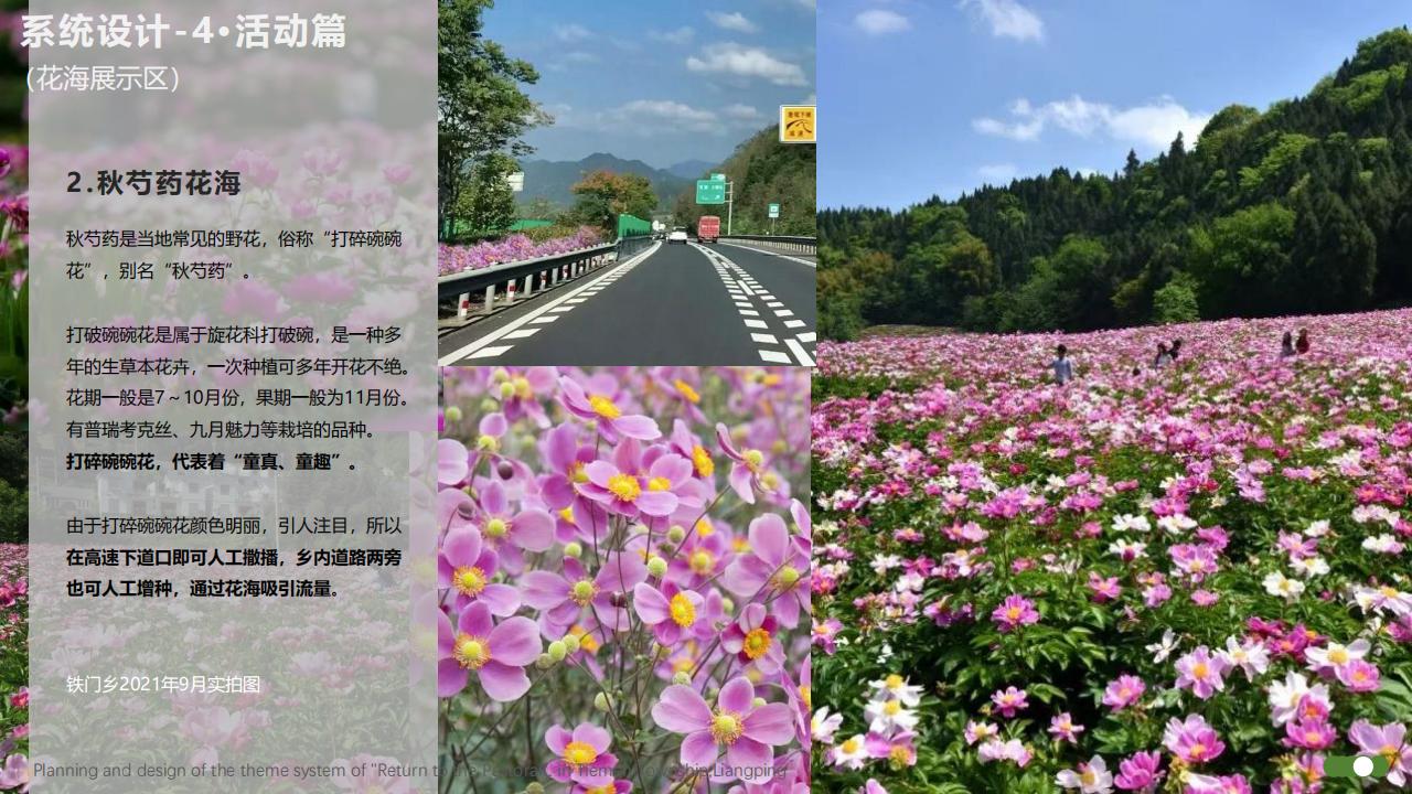 C0091地域IP系统设计赋能乡村振兴_50.jpg